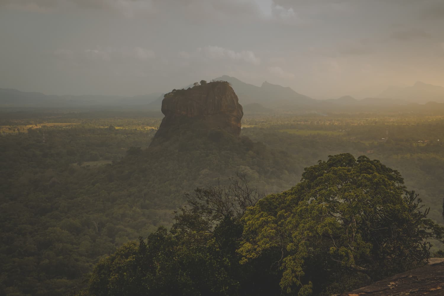 Sigiriya rock rising above the jungle at sunrise, seen from Pidurangala